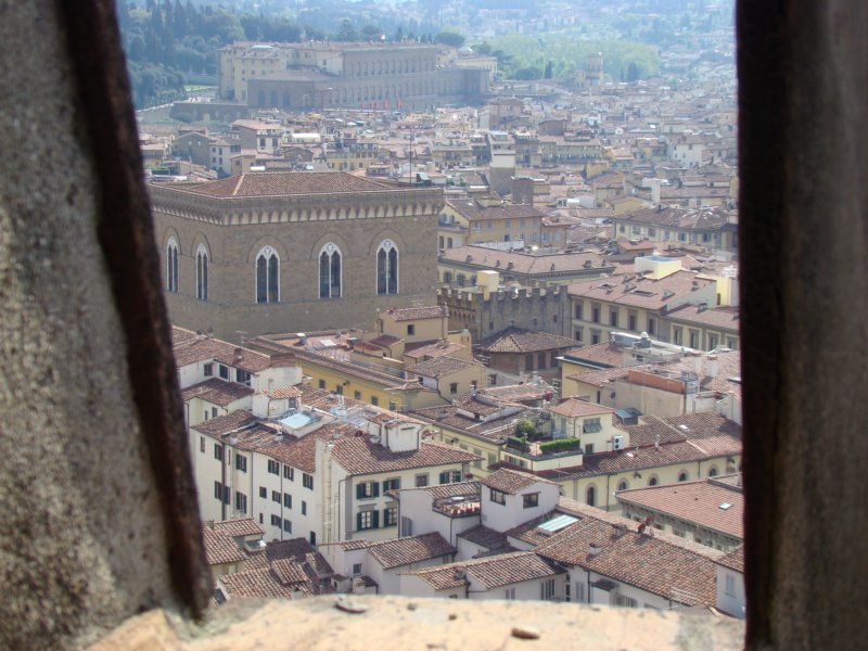 palazzopittidallacupoladelduomo.jpg